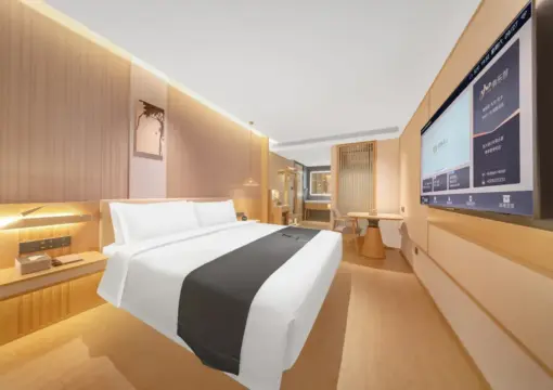 青莲公寓套房（3人榻榻米+智能宾客控制+智能卫生间）